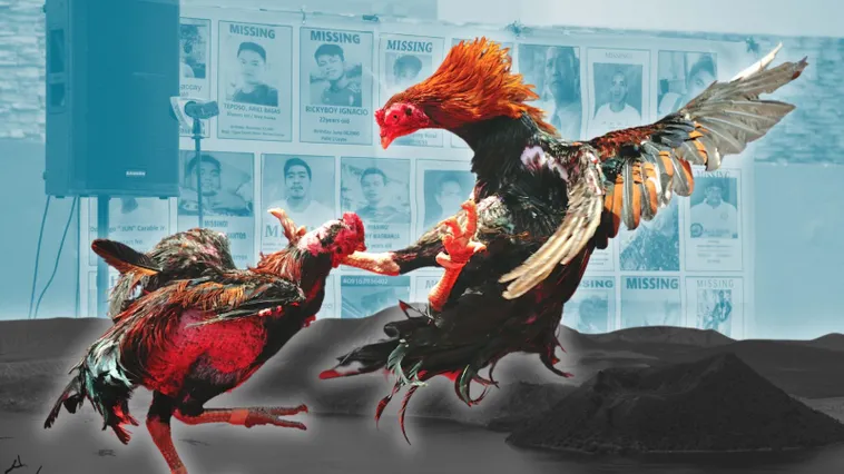 Bí Kíp Thống Trị Đá Gà Sabong New88 Từ Các Chuyên Gia Hàng Đầu