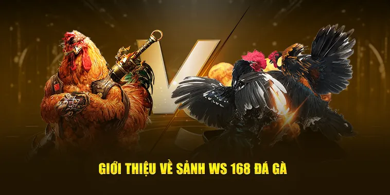 Chinh Phục Đấu Trường Đá Gà WS168 New88 Bất Bại Ngay Hôm Nay