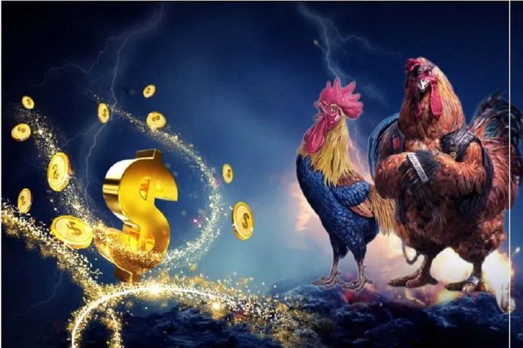 Đá Gà New88 Đấu Trường Sinh Tử Nơi Kê Thủ Thể Hiện Đẳng Cấp