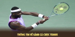 Thống Lĩnh Sân Đấu Cá Cược Quần Vợt New88 Với Bí Quyết Vàng
